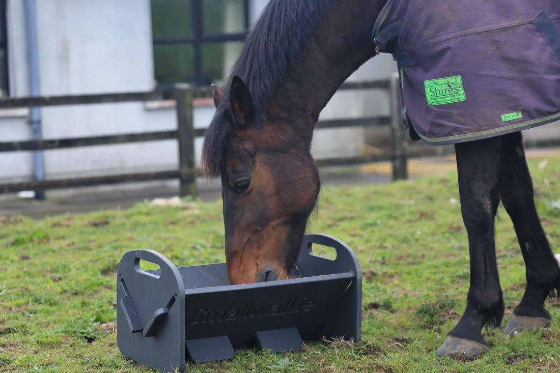 HAYDUDE Feeder