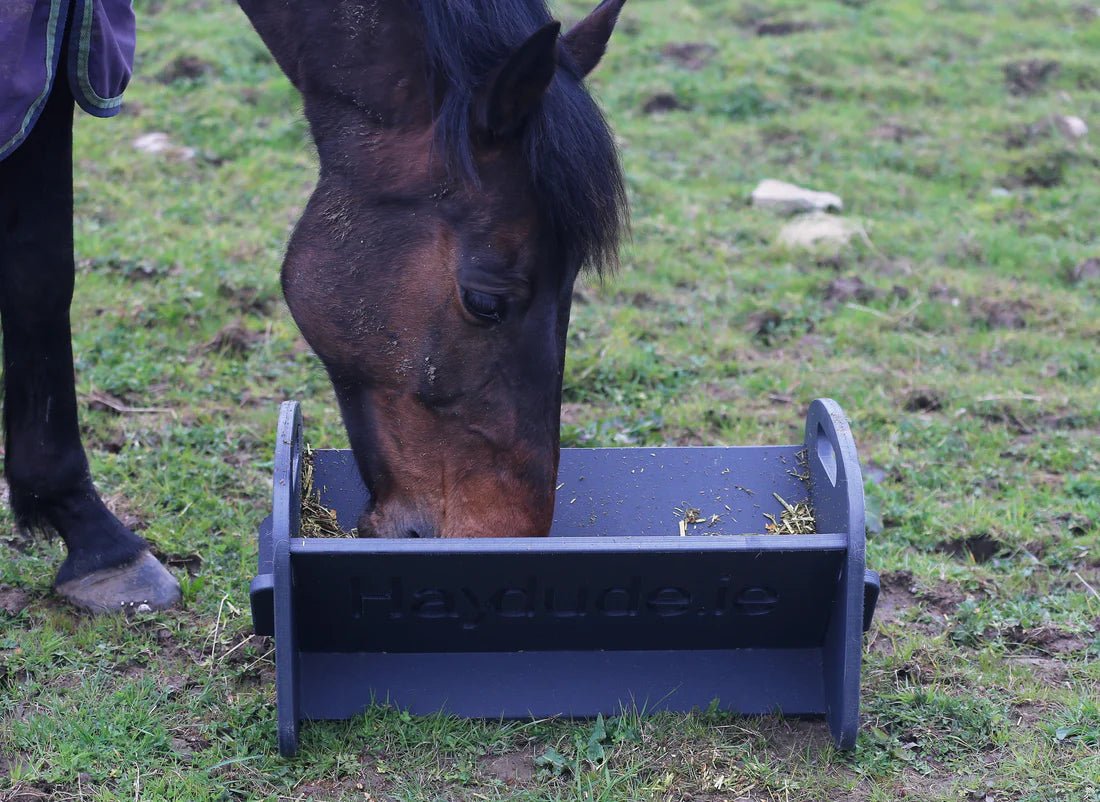 HAYDUDE Feeder