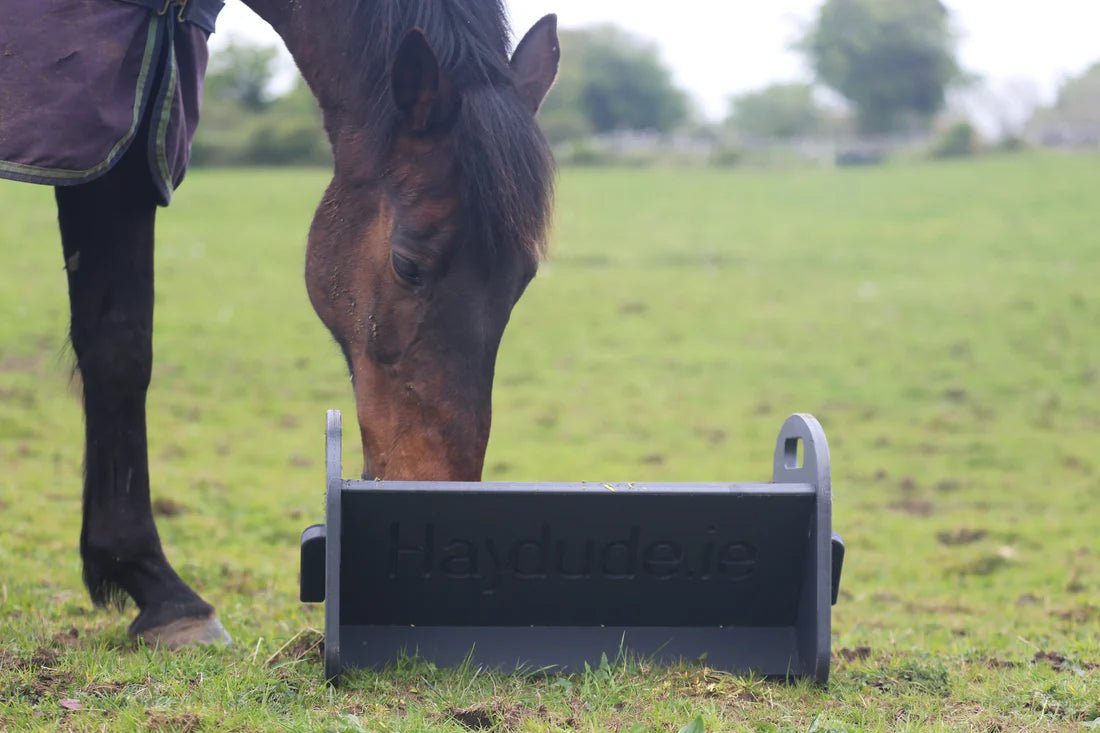 HAYDUDE Feeder