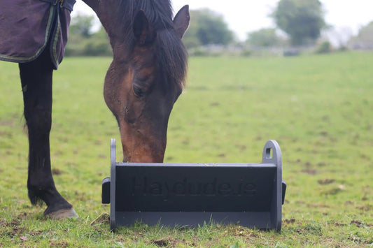 HAYDUDE Feeder