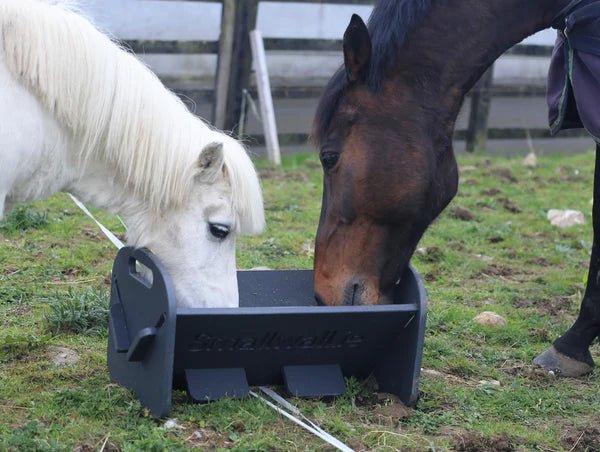 HAYDUDE Feeder
